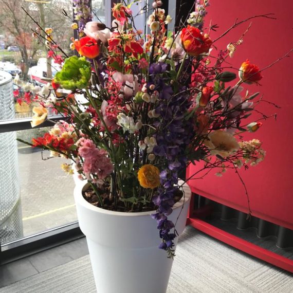 bedrijfsbeplanting-570x570